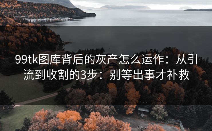 99tk图库背后的灰产怎么运作：从引流到收割的3步：别等出事才补救