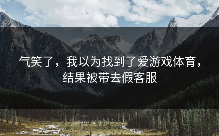 气笑了，我以为找到了爱游戏体育，结果被带去假客服