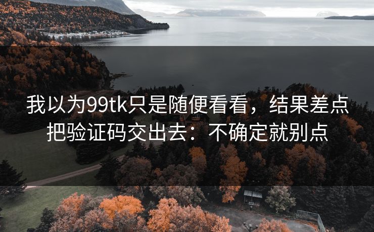 我以为99tk只是随便看看，结果差点把验证码交出去：不确定就别点